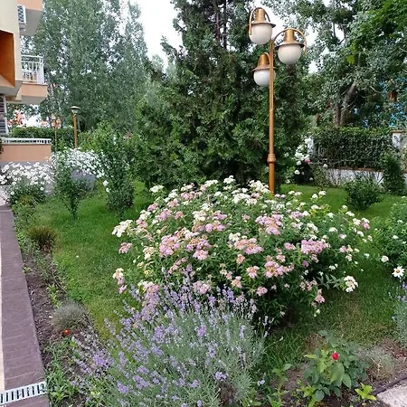 Happy 7 Apartament *